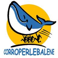 12813974_1742462289307187_7631868290685028484_n